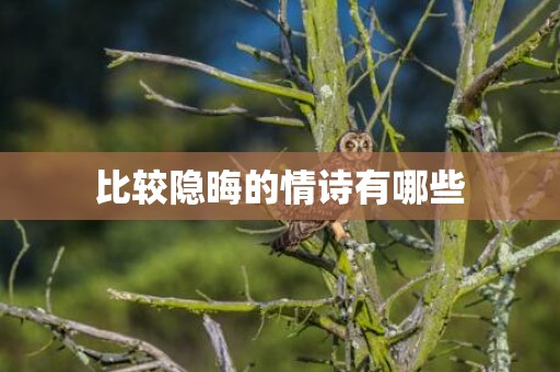 比较隐晦的情诗有哪些