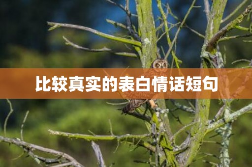 比较真实的表白情话短句