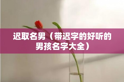 迟取名男（带迟字的好听的男孩名字大全）