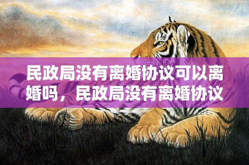民政局没有离婚协议可以离婚吗，民政局没有离婚协议吗