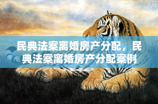 民典法案离婚房产分配，民典法案离婚房产分配案例