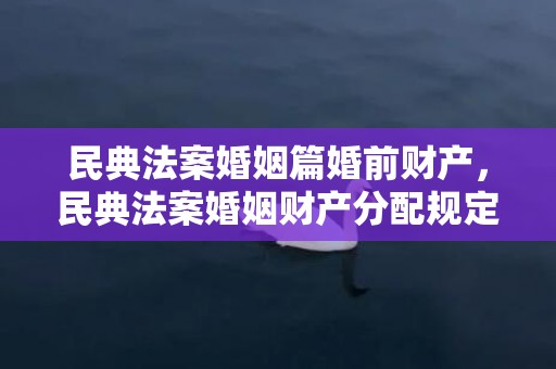 民典法案婚姻篇婚前财产，民典法案婚姻财产分配规定