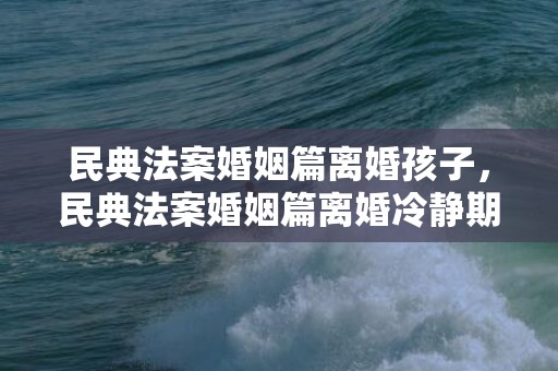 民典法案婚姻篇离婚孩子，民典法案婚姻篇离婚冷静期