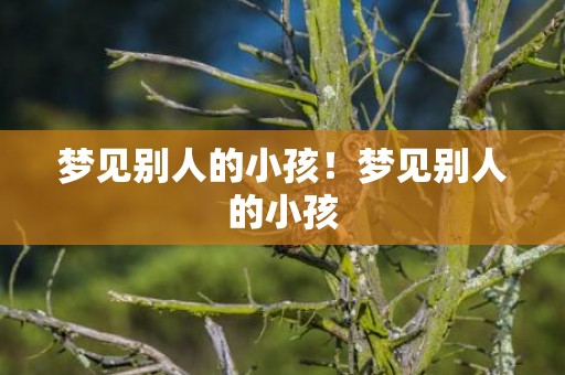 梦见别人的小孩！梦见别人的小孩