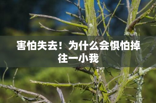 害怕失去！为什么会惧怕掉往一小我