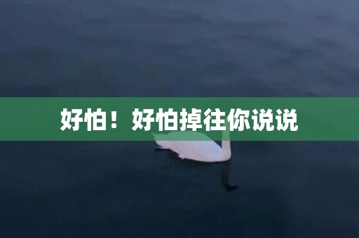 好怕！好怕掉往你说说