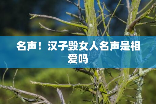 名声！汉子毁女人名声是相爱吗