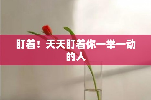 盯着！天天盯着你一举一动的人