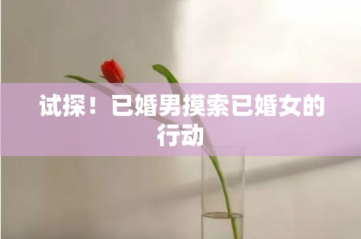 试探！已婚男摸索已婚女的行动