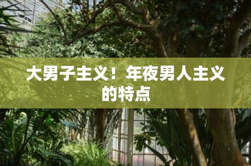 大男子主义！年夜男人主义的特点