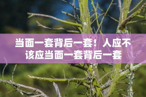 当面一套背后一套！人应不该应当面一套背后一套