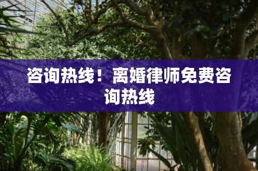 咨询热线！离婚律师免费咨询热线