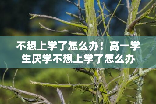 不想上学了怎么办！高一学生厌学不想上学了怎么办