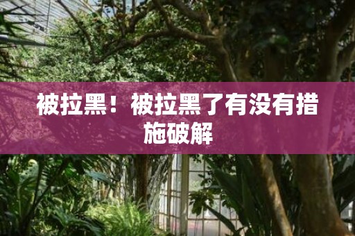 被拉黑！被拉黑了有没有措施破解