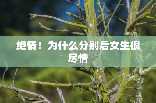 绝情！为什么分别后女生很尽情