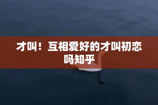 才叫！互相爱好的才叫初恋吗知乎