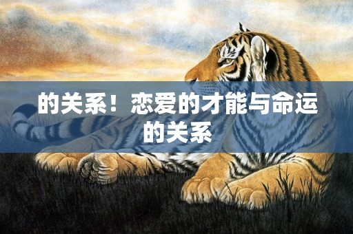 的关系！恋爱的才能与命运的关系