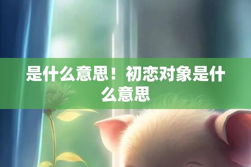 是什么意思！初恋对象是什么意思