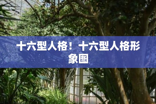 十六型人格！十六型人格形象图