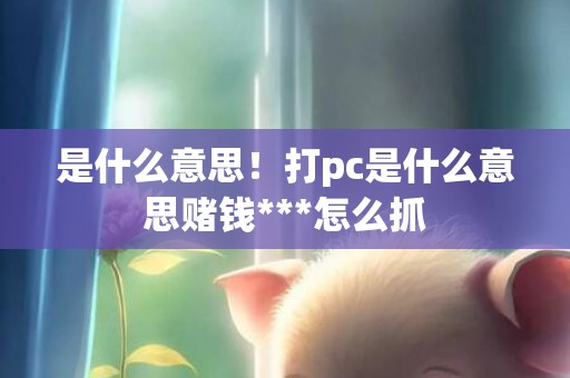 是什么意思！打pc是什么意思赌钱***怎么抓