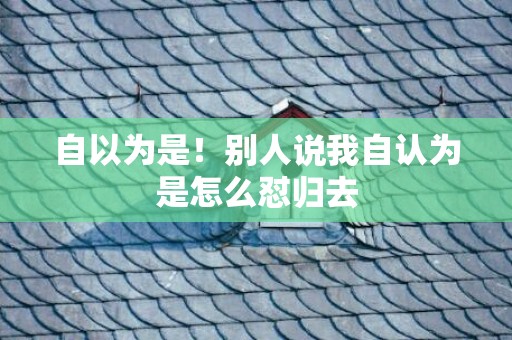 自以为是！别人说我自认为是怎么怼归去