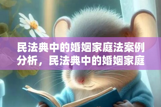 民法典中的婚姻家庭法案例分析，民法典中的婚姻家庭法部分