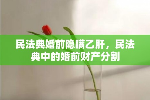 民法典婚前隐瞒乙肝，民法典中的婚前财产分割