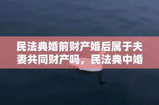 民法典婚前财产婚后属于夫妻共同财产吗，民法典中婚前财产的规定