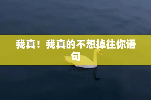 我真！我真的不想掉往你语句