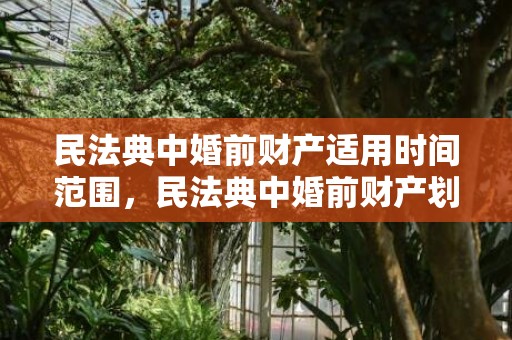 民法典中婚前财产适用时间范围，民法典中婚前财产划分规定