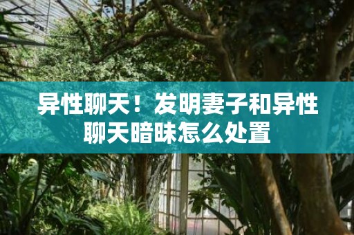 异性聊天！发明妻子和异性聊天暗昧怎么处置