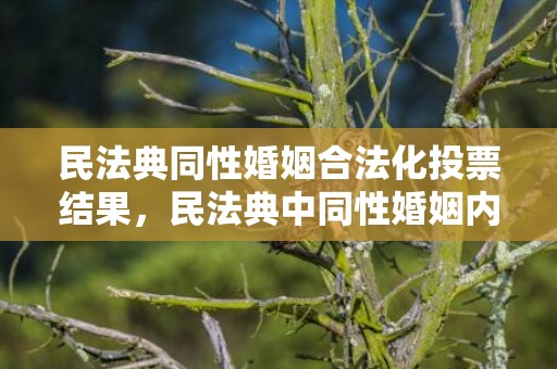民法典同性婚姻合法化投票结果，民法典中同性婚姻内容
