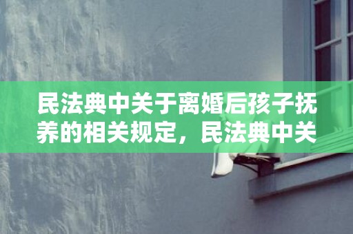 民法典中关于离婚后孩子抚养的相关规定，民法典中关于离婚冷静期