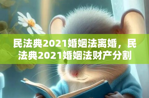 民法典2021婚姻法离婚，民法典2021婚姻法财产分割