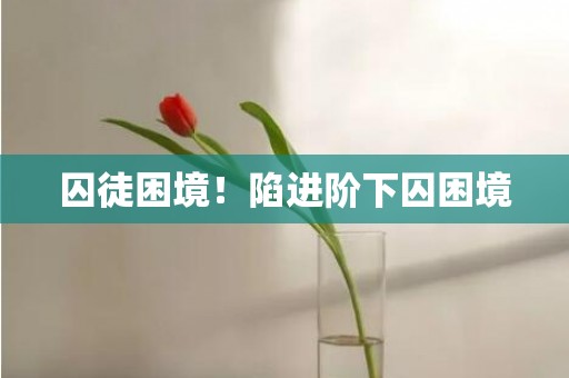 囚徒困境！陷进阶下囚困境
