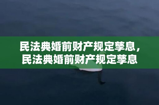 民法典婚前财产规定孳息，民法典婚前财产规定孳息