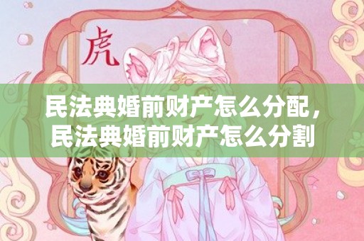 民法典婚前财产怎么分配，民法典婚前财产怎么分割