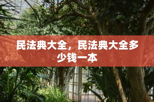 民法典大全，民法典大全多少钱一本