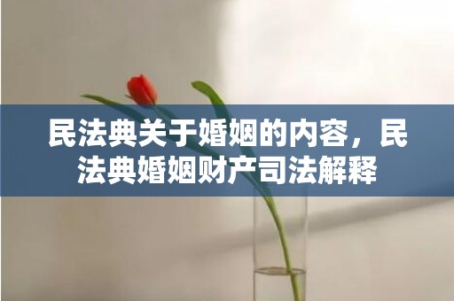 民法典关于婚姻的内容，民法典婚姻财产司法解释