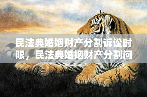 民法典婚姻财产分割诉讼时限，民法典婚姻财产分割问答题