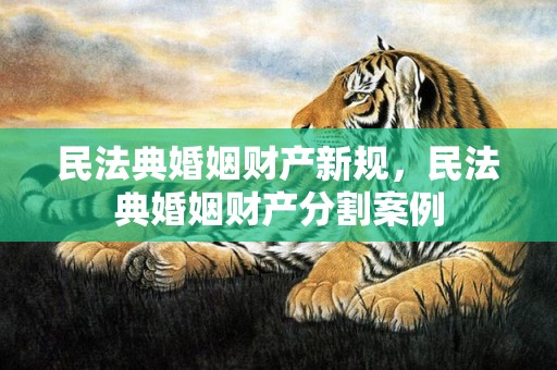 民法典婚姻财产新规，民法典婚姻财产分割案例