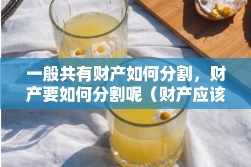 一般共有财产如何分割，财产要如何分割呢（财产应该怎么分）