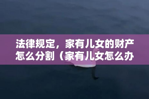 法律规定，家有儿女的财产怎么分割（家有儿女怎么办）