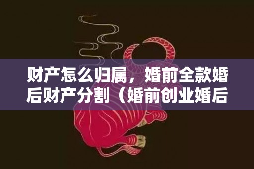 财产怎么归属，婚前全款婚后财产分割（婚前创业婚后财产分割）