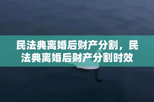 民法典离婚后财产分割，民法典离婚后财产分割时效