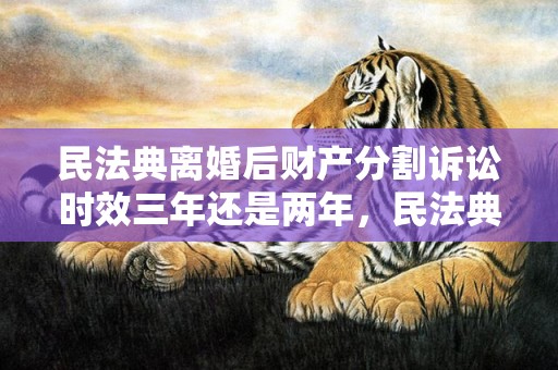 民法典离婚后财产分割诉讼时效三年还是两年，民法典离婚后财产分割判决