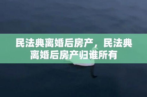 民法典离婚后房产，民法典离婚后房产归谁所有