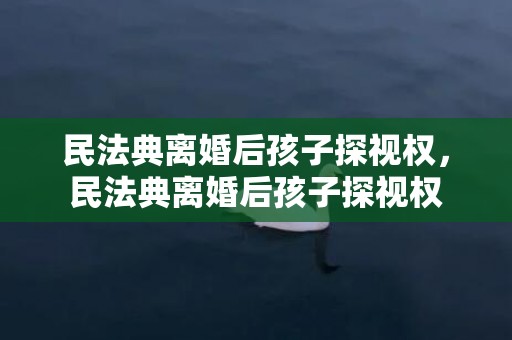 民法典离婚后孩子探视权，民法典离婚后孩子探视权
