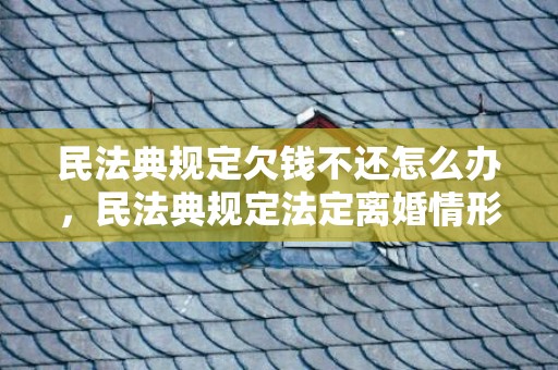 民法典规定欠钱不还怎么办，民法典规定法定离婚情形
