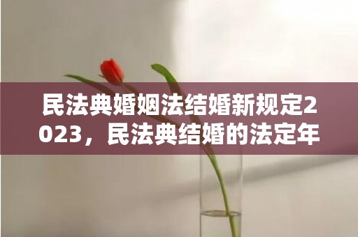 民法典婚姻法结婚新规定2023，民法典结婚的法定年龄